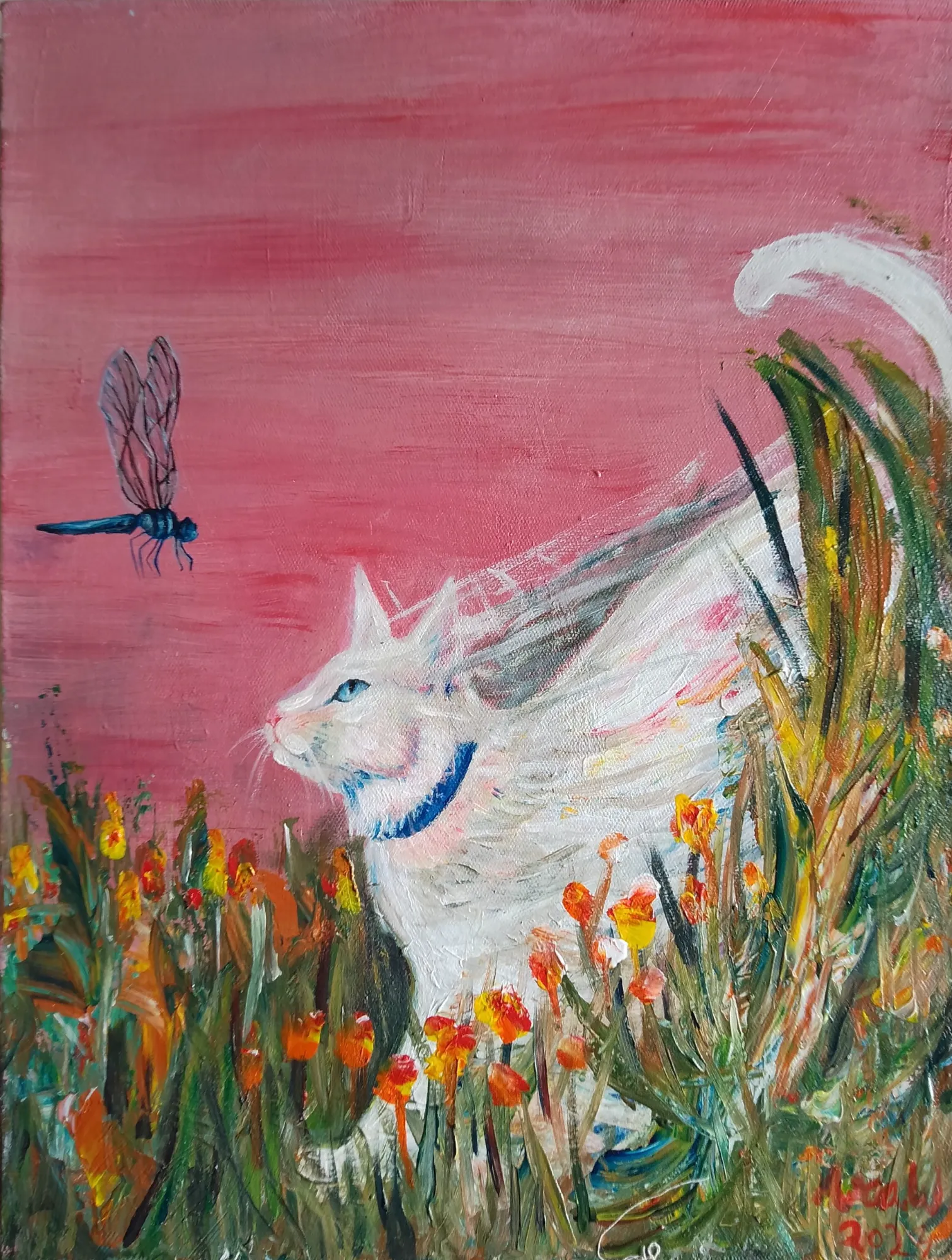 Oh Felix (2/3) Chasing Dragonflies