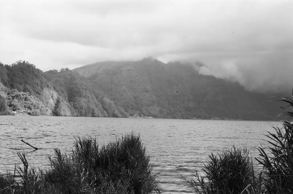 KINTAMANI SERIES 1/4