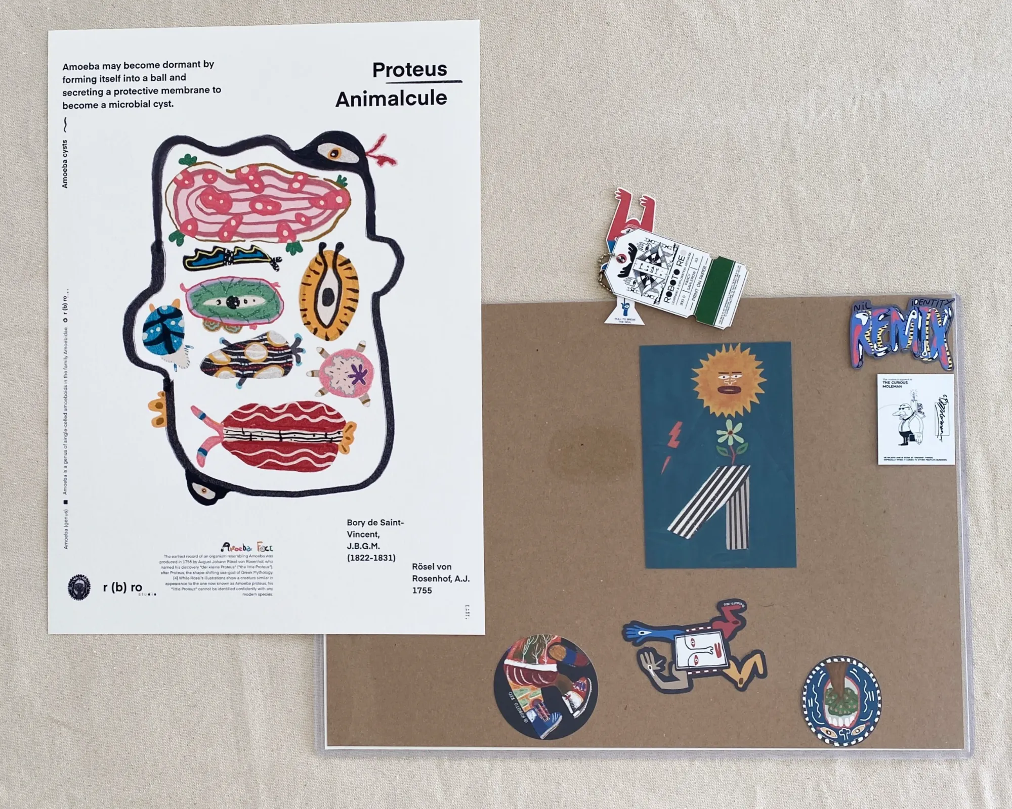 Proteus Animalcule - Image 3