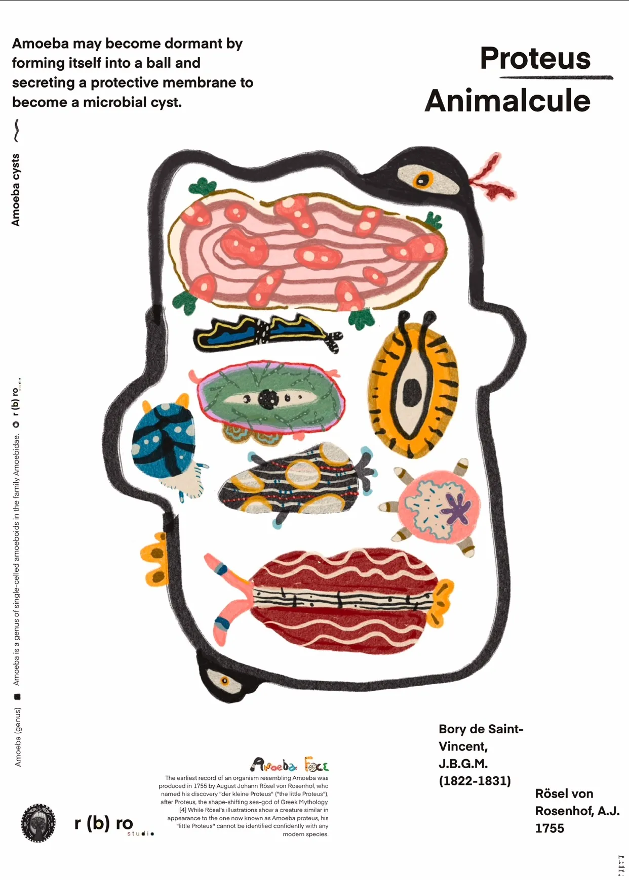 Proteus Animalcule