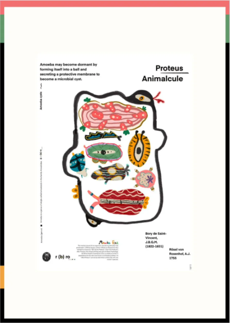 Alternative view of Proteus Animalcule