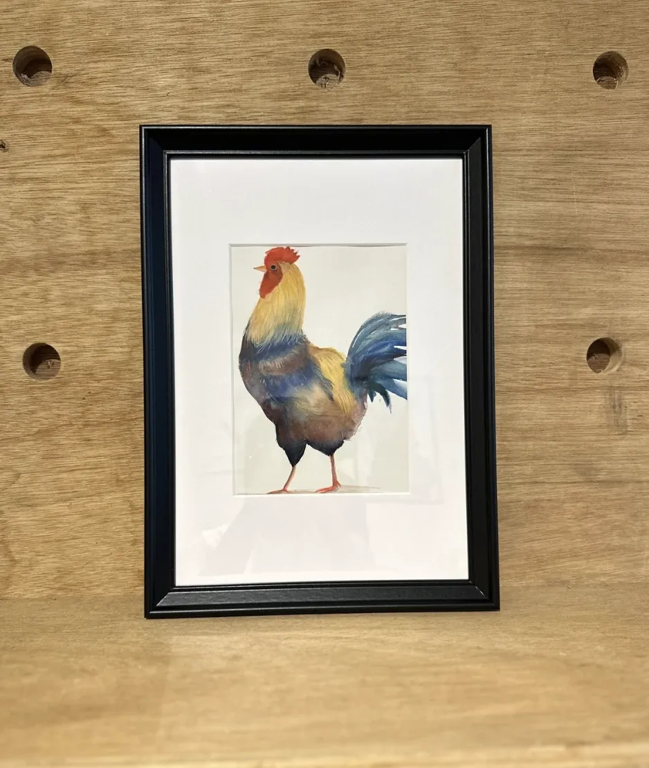 Alternative view of Proud Rooster