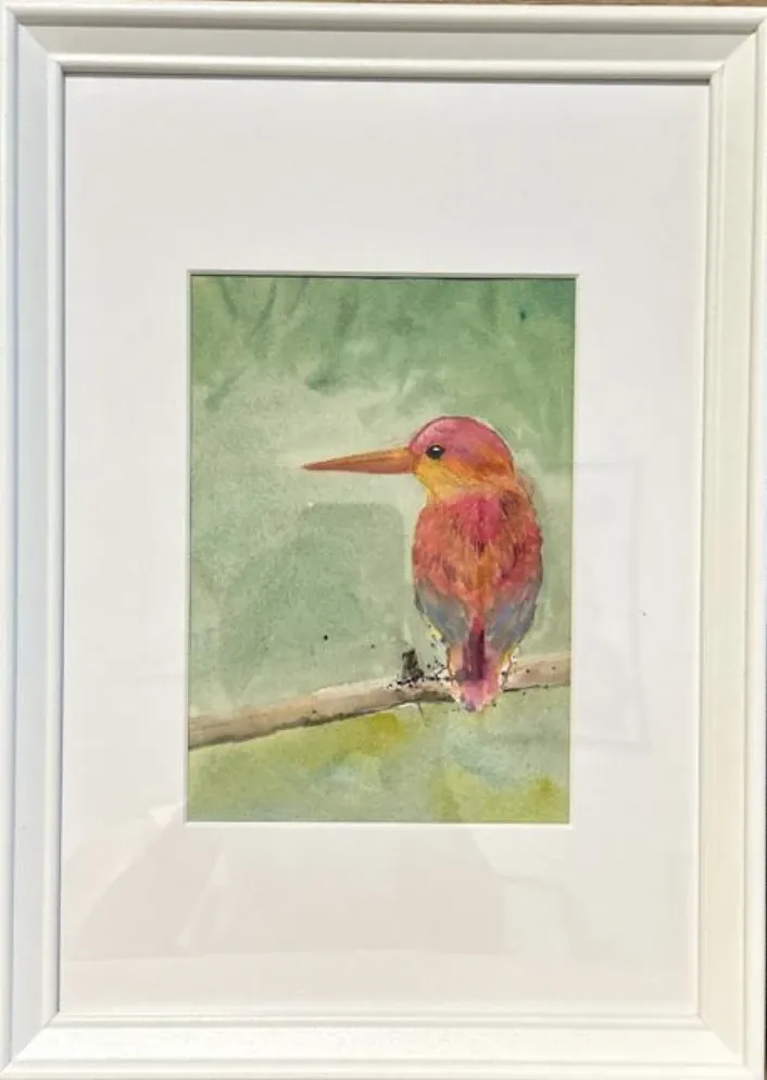 Oriental Dwarf Kingfisher