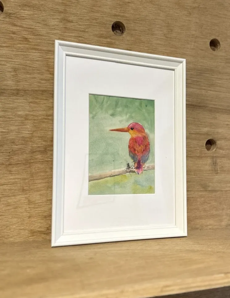 Alternative view of Oriental Dwarf Kingfisher